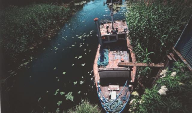 blog image