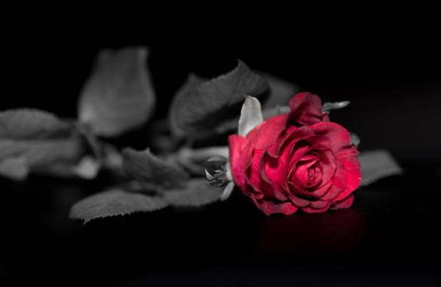 blog img