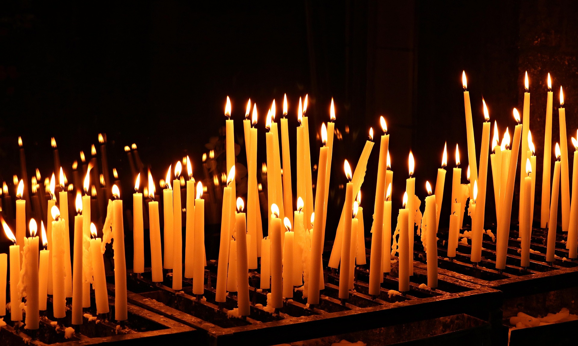 Blog Image
