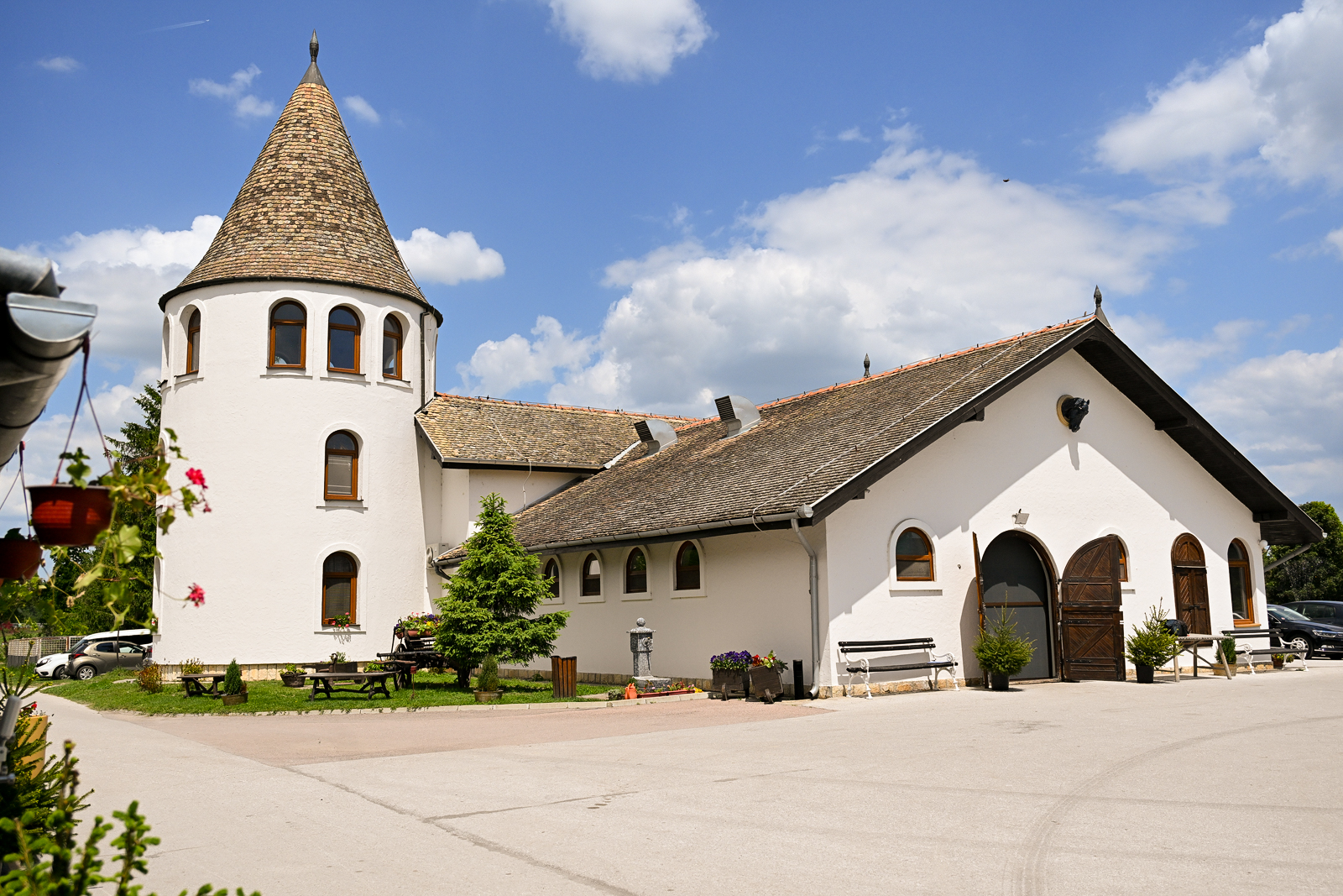 Blog Image