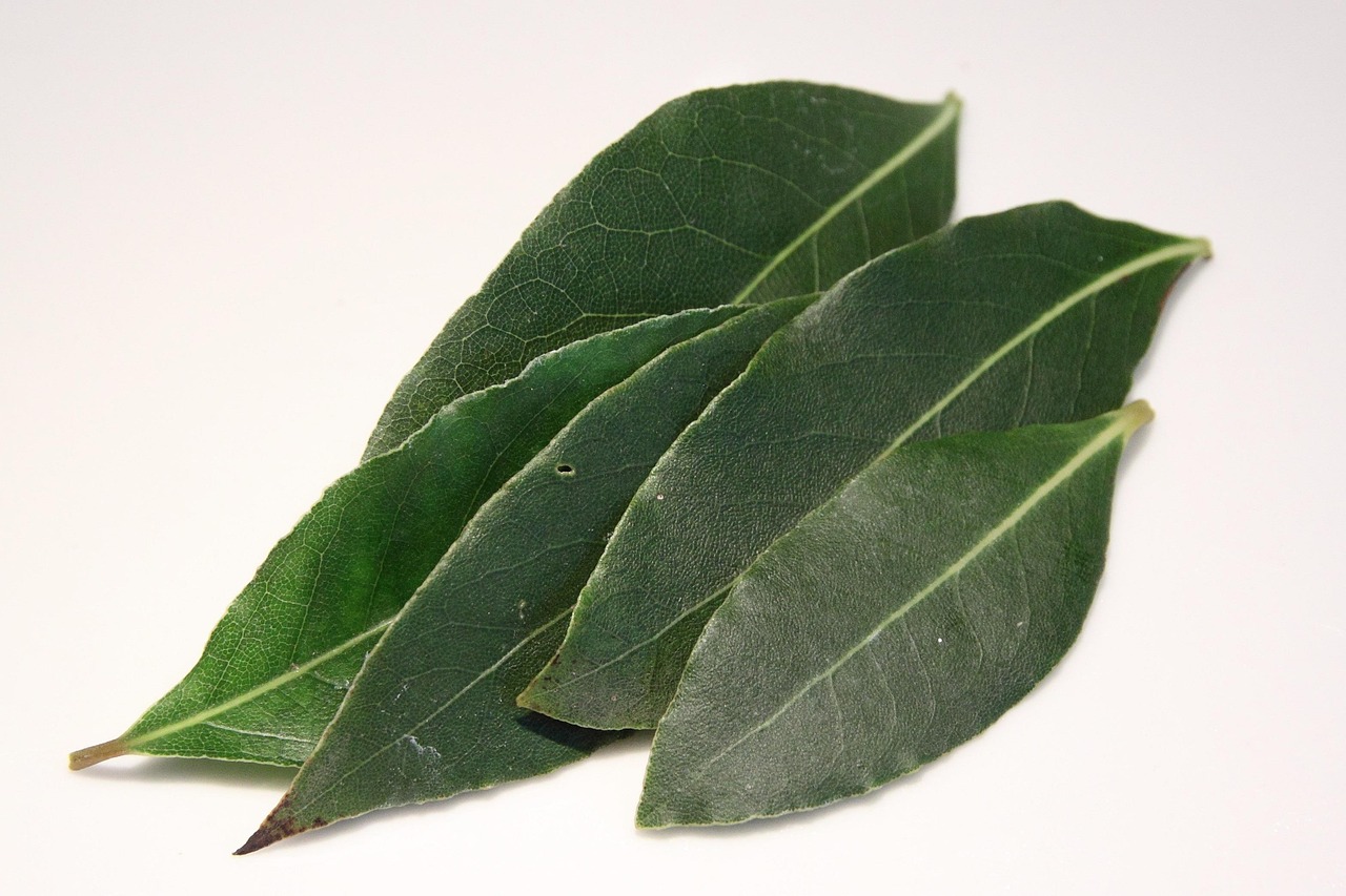 Blog Image