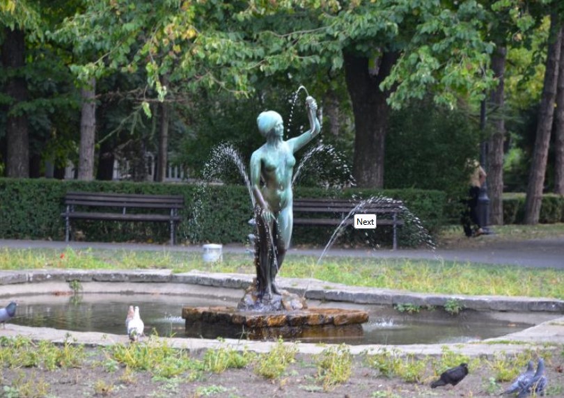 Blog Image