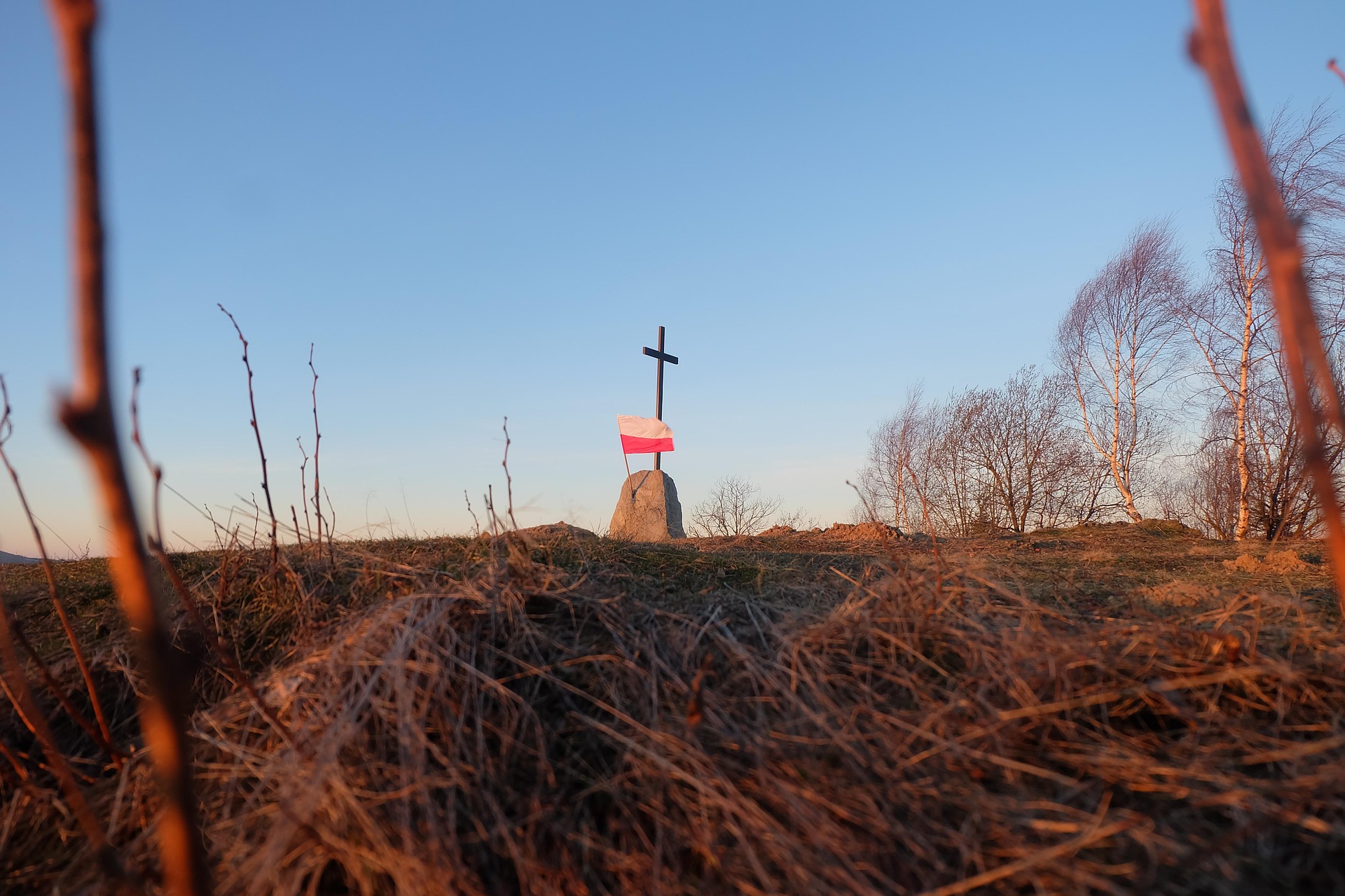 Blog Image