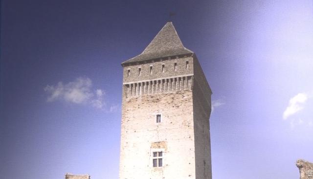 blog image