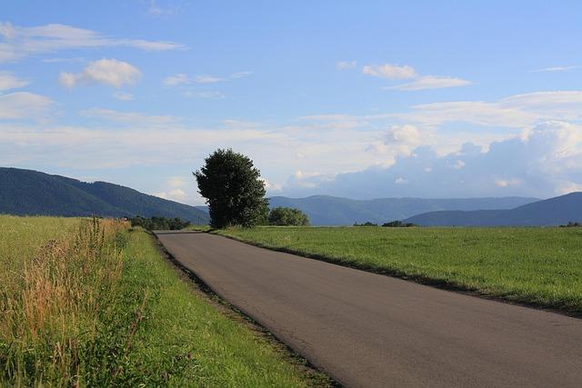 blog image