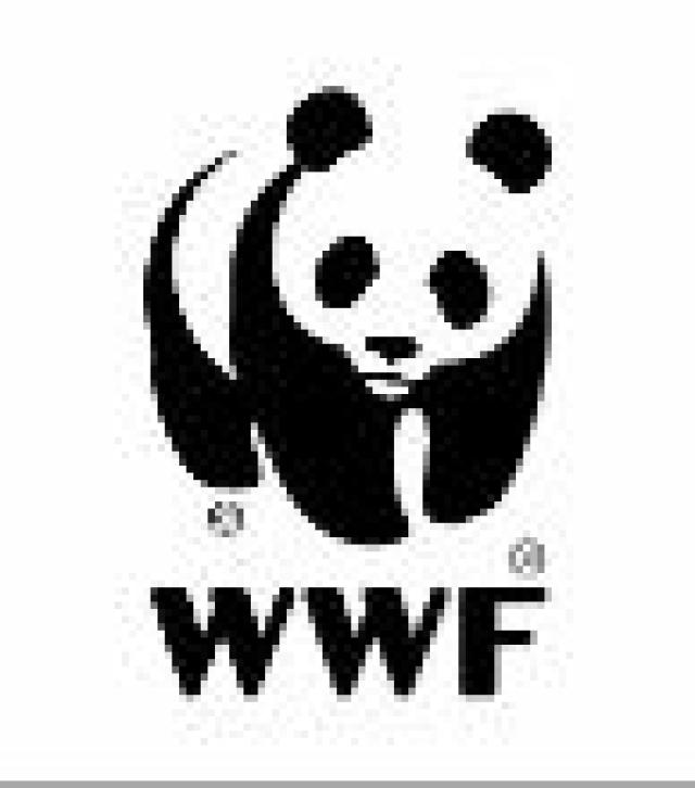 blog img