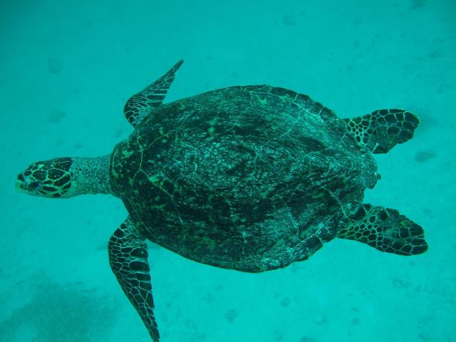 blog image